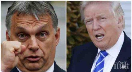 пик георги марков ексклузивен коментар мигрантската криза тръмп нарече вишеградската четворка новия мотор стара европа опряха меркел допуснат ислямизм