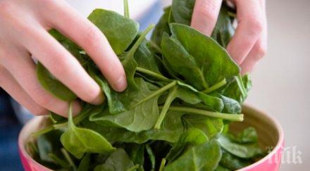 внимавайте суровият спанак опасен бъбреците