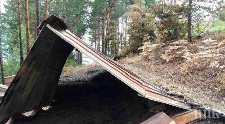 беда изпепелиха заслон ловна дружинка