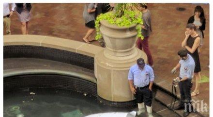 полицай робот удави фонтан йорк снимка