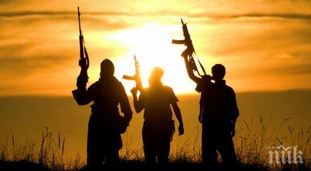 горещ въпрос отива тероризмът