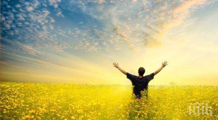 проблема поради проваляме