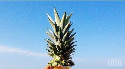 храним здравословно плажа