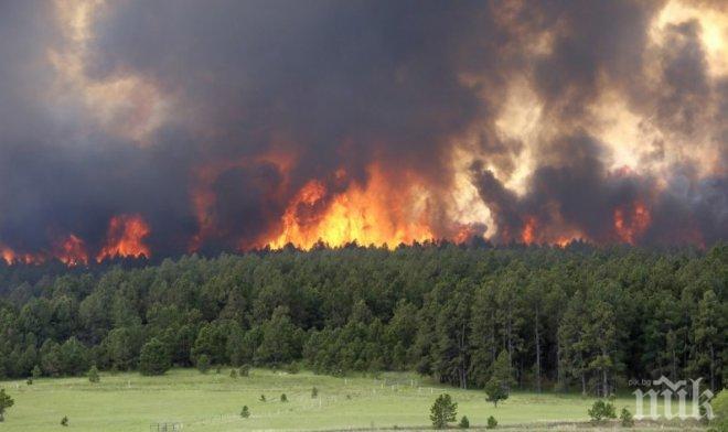 МВнР: Няма данни за пострадали български граждани при пожарите в Хърватия и Черна гора