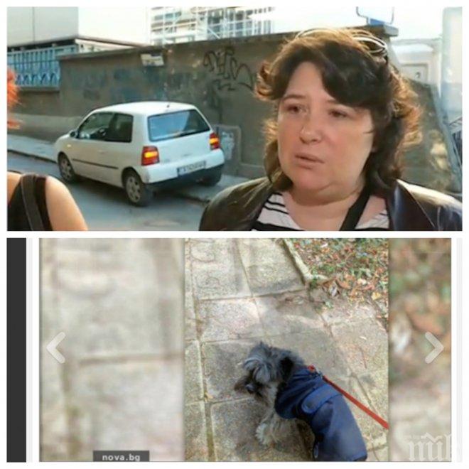 ШОК И КРЪВ! Свирепи ротвайлери разкъсаха болонка в Борисовата градина! Стопанката ужасена, иска евтаназия за кучето убиец