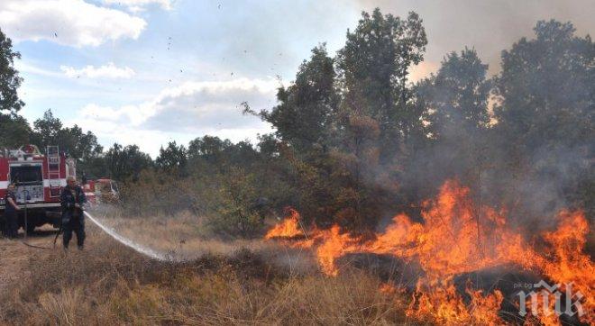 Пожар унищожи 50 декара с пшеница край Каспичан