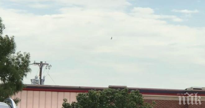 УЖАС! Чудовище се появи в небето над Далас (ВИДЕО)