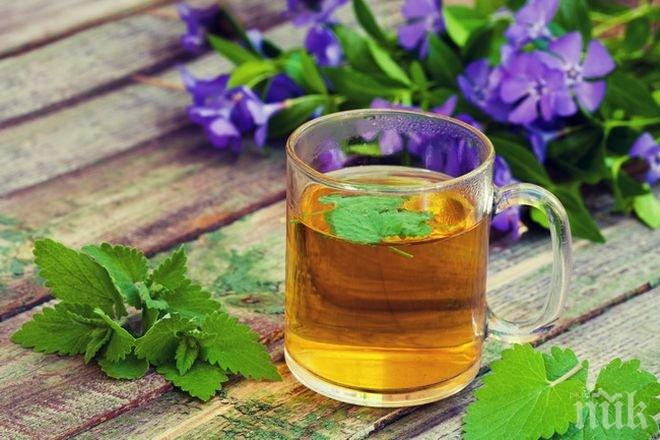 Вижте кои билки борят стреса