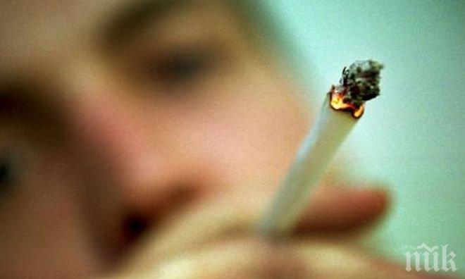 Британски депутат отправи призив: Пушете марихуана в парламента