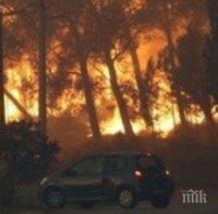 Пожарите в Хърватия причиниха експлозията на 34 изоставени мини от войната