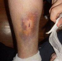 Мъж е бил пребит в обор на мандра в Поповица