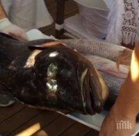 Спас Русев заряза Левски след резила! Босът лекува нервите си с риболов в Гърция