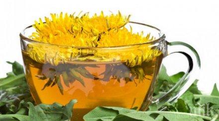 лек брадавиците какъв