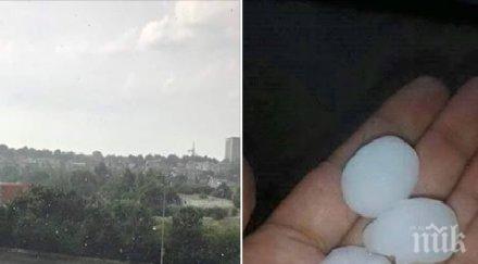 градушка орех обрули шумен снимка