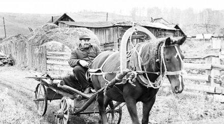 носихме сено конете братушките 1944