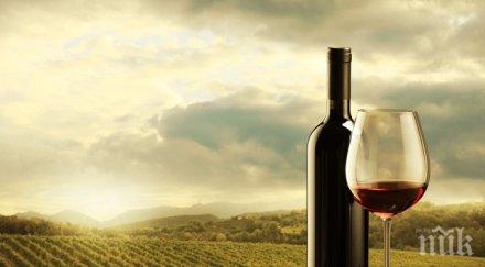 кът лоша реколта френското вино