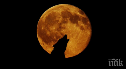 внимавайте въздуха витае агресия дебнат опасности