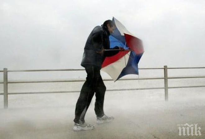 Стихия! Бедствено положение в Нова Зеландия заради буря