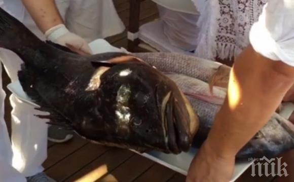 Спас Русев заряза Левски след резила! Босът лекува нервите си с риболов в Гърция