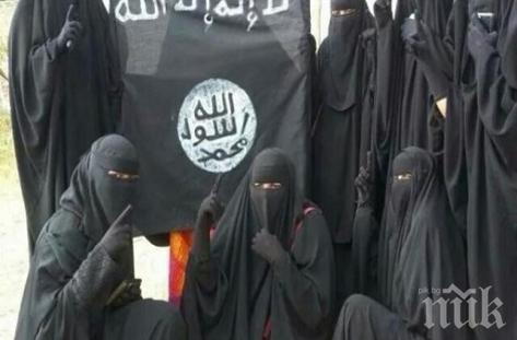 РАЗВИТИЕ! Германките в „Ислямска държава“ били четири, не само една