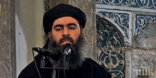 Военният министър на САЩ: Лидерът на Ислямска държава Багдади е жив