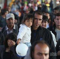 Цифрите говорят: Над 14 000 мигранти са напуснали България миналата година