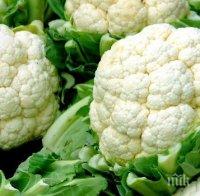 ВАЖНО! Лечителка измисли рецепта как жените да пазят гърдите си от рак