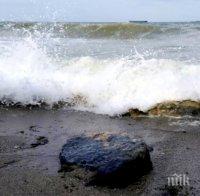 Здравната инспекция успокои: Водите на плажовете, замърсени с мазут, не са опасни за къпане