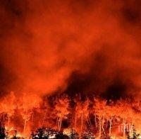 ИЗВЪНРЕДНО! Страшни пожари във Франция, евакуираха 10 хил. души
