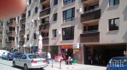 екшън кючука охранителка простреля момиче пинчер