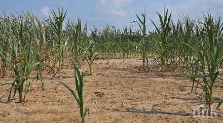 криза молдова закъса питейна вода жегата пресушила кладенците