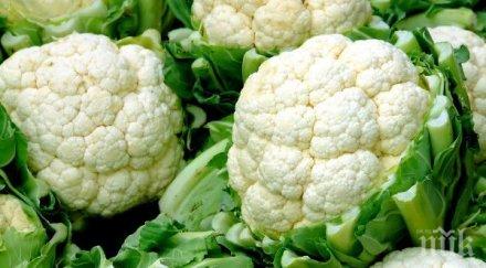 важно лечителка измисли рецепта жените пазят гърдите рак