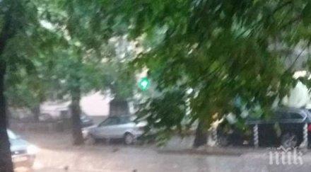 сигнала паднали дървета клони столицата време бурята