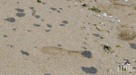 спокойно замърсяване мазут южното черноморие