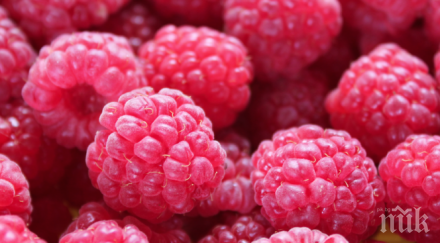 яжте малини друг такъв антиоксидант