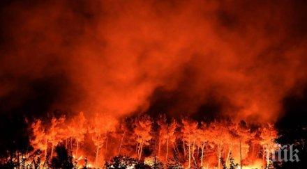 извънредно страшни пожари франция евакуираха хил души