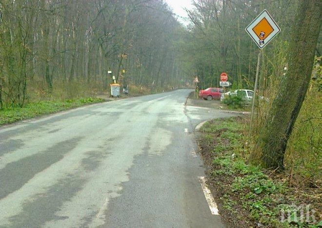 ТЕЖЪК УДАР! Кола уби на пътя сърна край плевенско село 