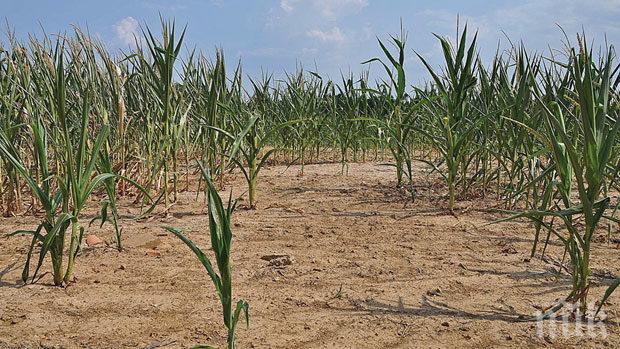 КРИЗА! Молдова закъса за питейна вода, жегата пресушила кладенците