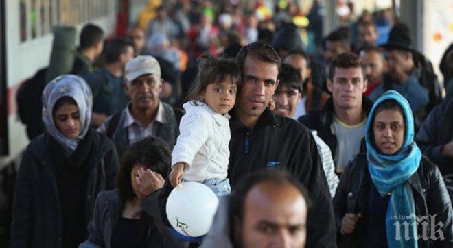 Цифрите говорят: Над 14 000 мигранти са напуснали България миналата година