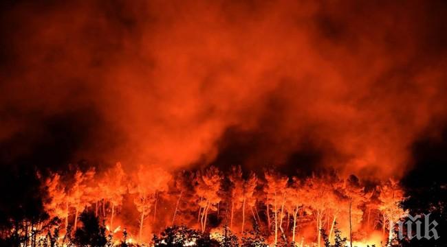 ИЗВЪНРЕДНО! Страшни пожари във Франция, евакуираха 10 хил. души