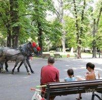 Столична община готви мащабно обновление на Борисовата градина