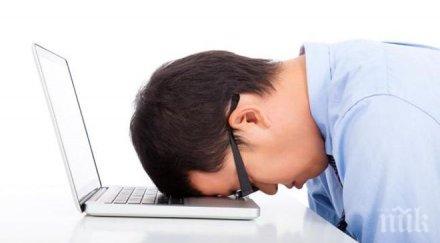 предпочитат уморените мъже