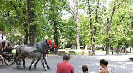 столична община готви мащабно обновление борисовата градина