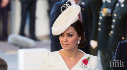 симфония бяло кейт мидълтън белгия