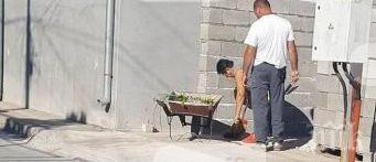 зазидаха прозорците годишна жена стамболийски