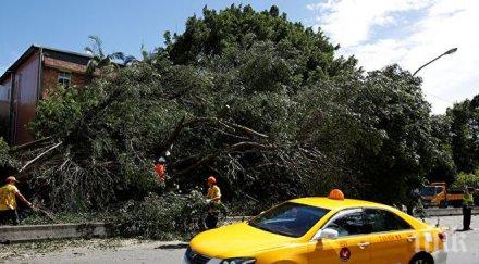 стихия пострадали тайфуна несат тайван