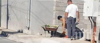 Зазидаха прозорците на 75-годишна жена в Стамболийски