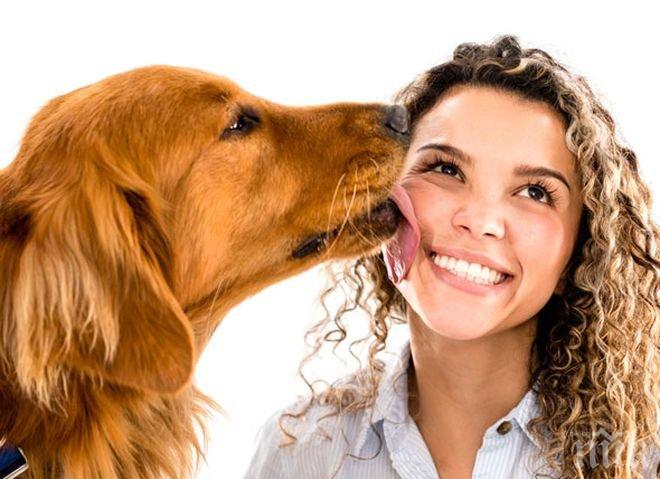 УЖАС! Кучешките целувки могат да ви убият