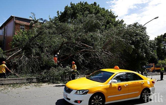 Броят на пострадалите от тайфуна в Тайван премина сто души