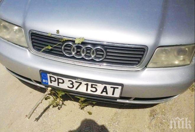 Опасен инцидент! Клон проби кола на пътя Русе-Варна (СНИМКИ)